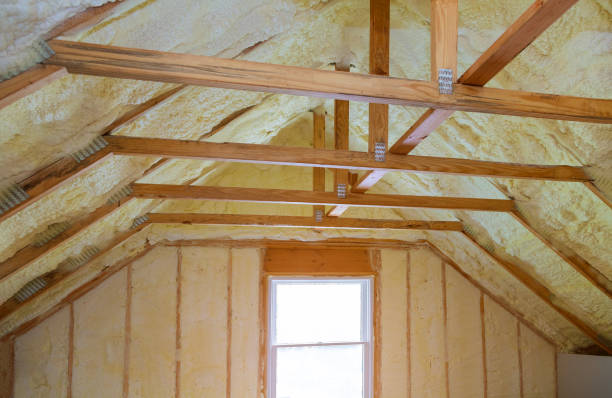 Best Insulation Installation Services in Dickinson, ND