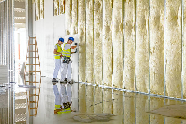 Best Residential Insulation in Dickinson, ND